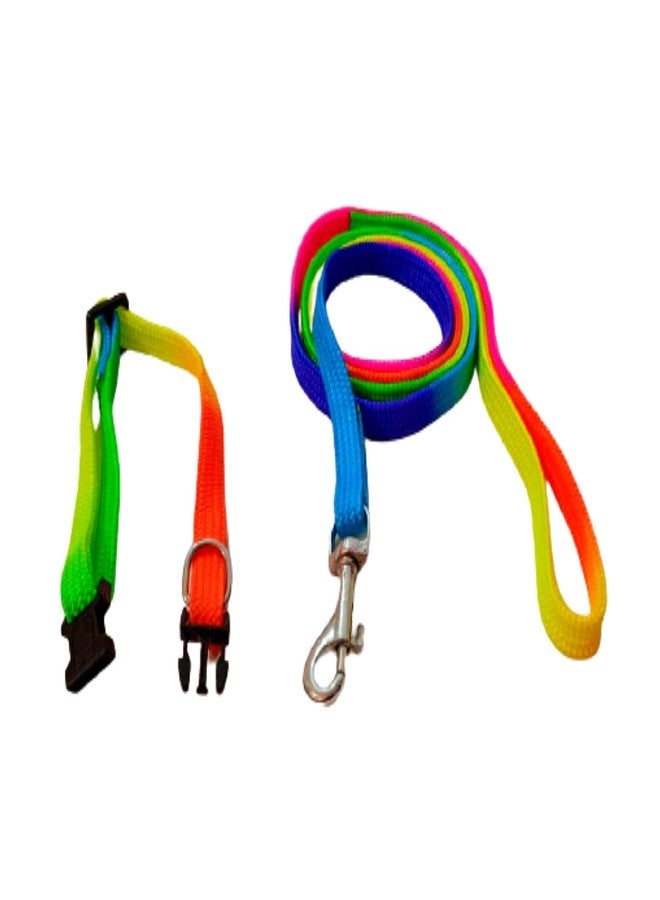 PetWag Nylon Multicolor Dog Leash and Collar Set, for Small & Puppy Breeds - Image 4