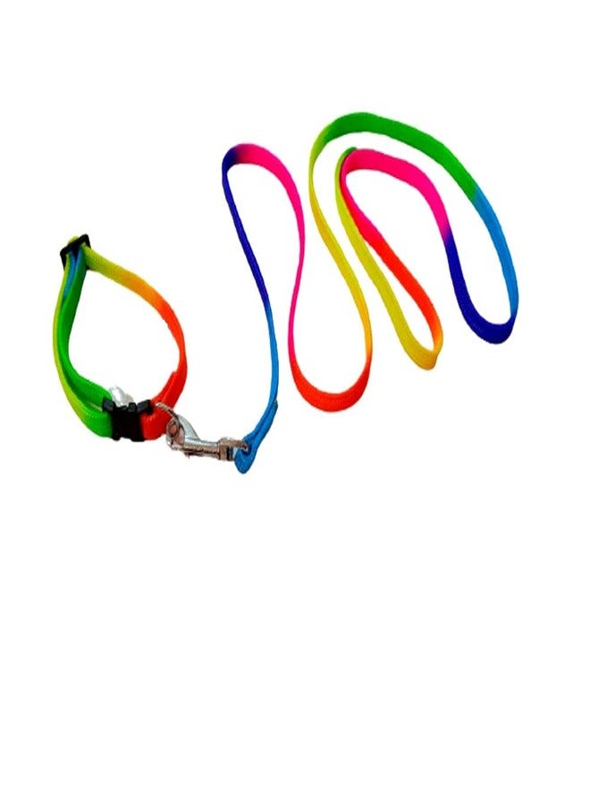 PetWag Nylon Multicolor Dog Leash and Collar Set, for Small & Puppy Breeds - Image 1