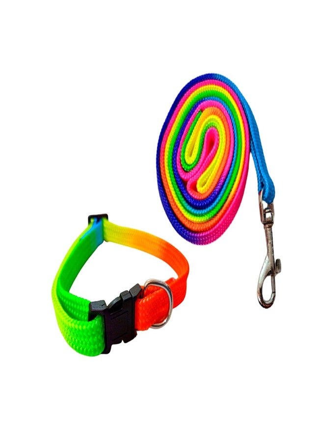 PetWag Nylon Multicolor Dog Leash and Collar Set, for Small & Puppy Breeds - Image 2