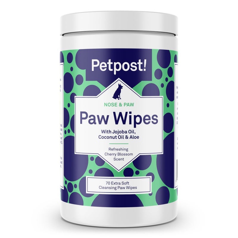 Petpost | Paw Wipes for Dogs - Nourishing, Revitalizing Dog Paw Cleaner with Coconut Oil, Jojoba Oil, and Aloe - Ultra Soft Cotton Pads - Cherry Blossom Scent 70 ct. - Image 1