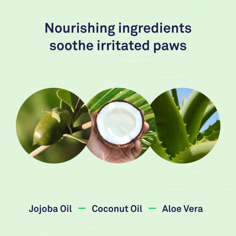Petpost | Paw Wipes for Dogs - Nourishing, Revitalizing Dog Paw Cleaner with Coconut Oil, Jojoba Oil, and Aloe - Ultra Soft Cotton Pads - Cherry Blossom Scent 70 ct. - Image 3