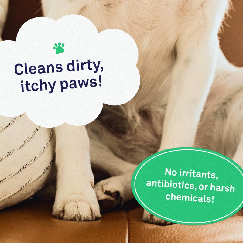 Petpost | Paw Wipes for Dogs - Nourishing, Revitalizing Dog Paw Cleaner with Coconut Oil, Jojoba Oil, and Aloe - Ultra Soft Cotton Pads - Cherry Blossom Scent 70 ct. - Image 2