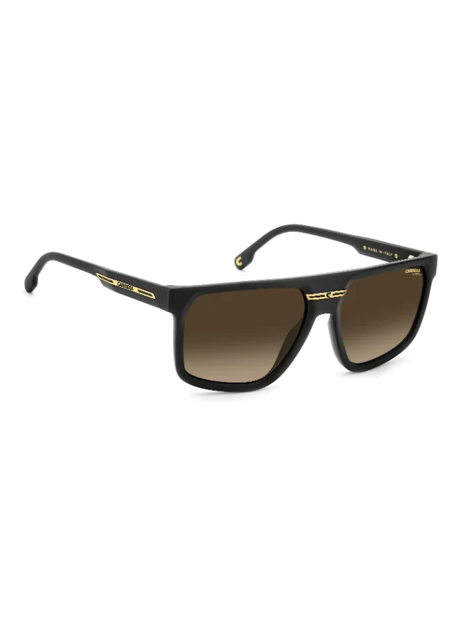 كاريرا Square Carrera Sunglasses