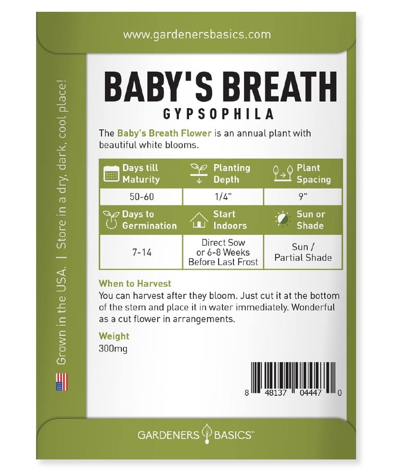 Gardeners Basics, Baby's Breath Seeds for Planting Gpsophila - Beautiful Annual Cut Flower for Flower Arrangements and Beautiful in Flower Beds in Summer Gardens Too - Image 2