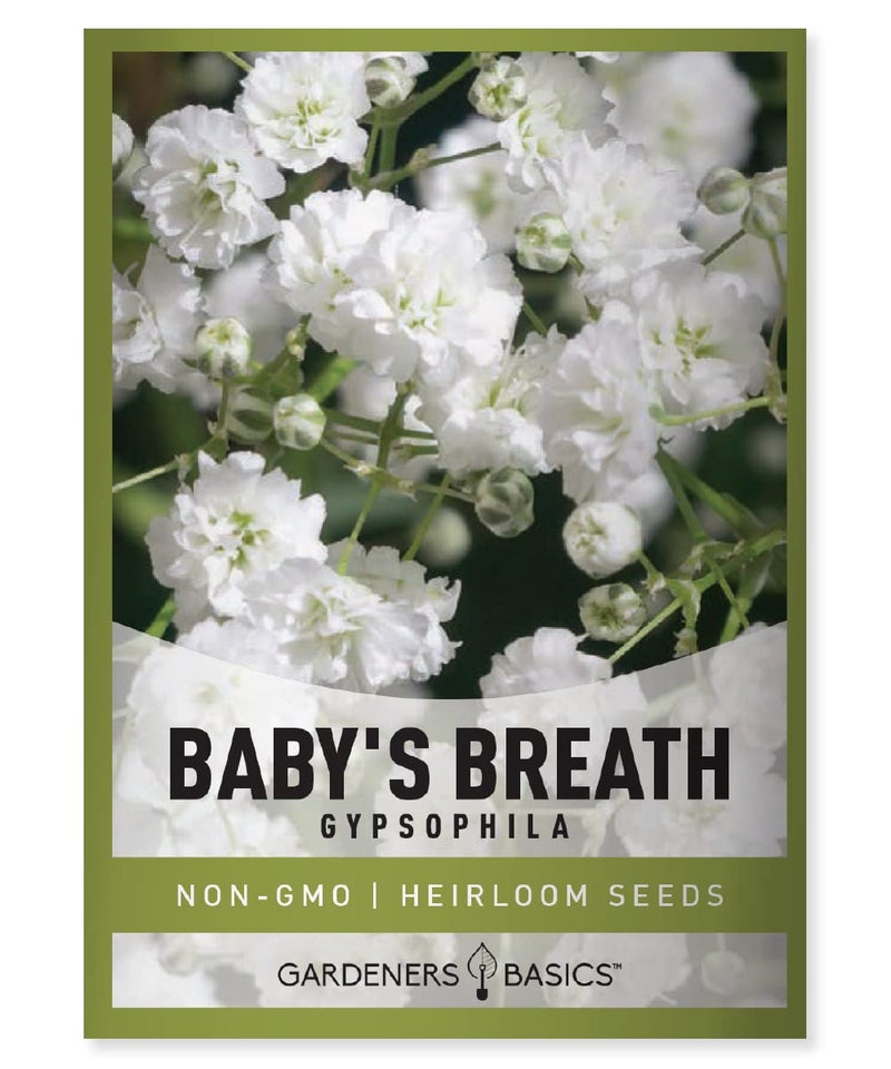 Gardeners Basics, Baby's Breath Seeds for Planting Gpsophila - Beautiful Annual Cut Flower for Flower Arrangements and Beautiful in Flower Beds in Summer Gardens Too - Image 1