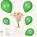 SCMDOTI Green Balloons Different Sizes 18 12 10 5 Inches Scmdoti Spring Green Balloons Greens Balloon Garland Arch for Spring Party Birthday Baby Shower Bridal Shower Wedding DecorationsSpringGreen - Image 4