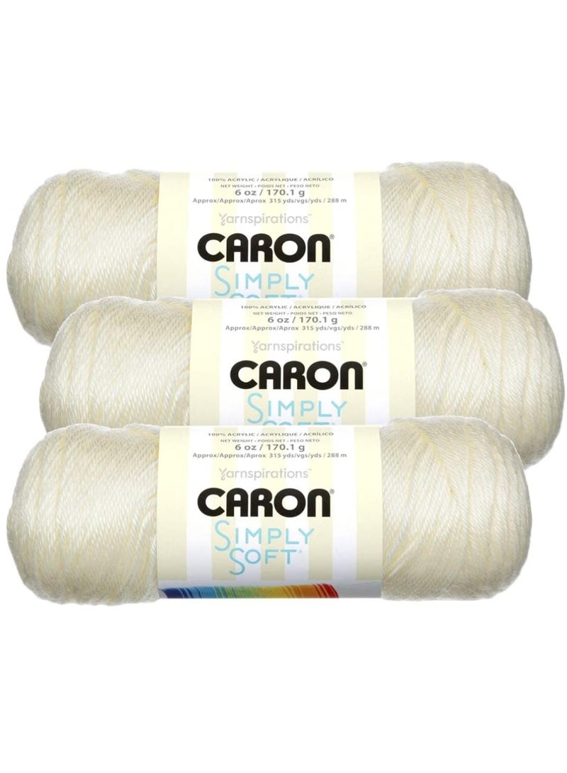 Caron Simply Soft Yarn – Off White, 170g, 3 Pack - Image 1