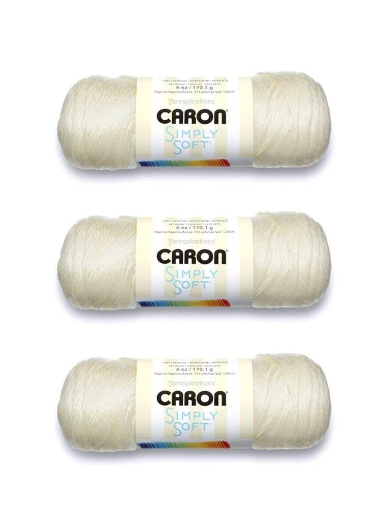 Caron Simply Soft Yarn – Off White, 170g, 3 Pack - Image 2