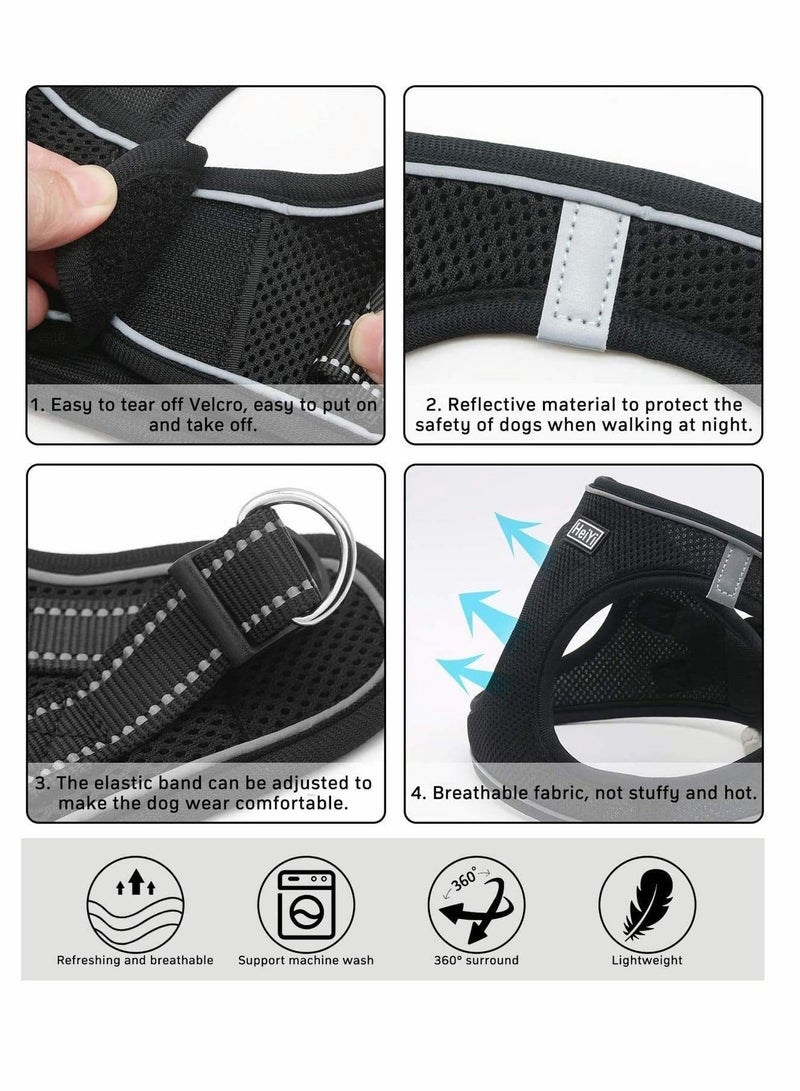 Y&D Step-in Air Dog Harness and Leash No Pull, Reflective Breathable Pet Harness Adjustable Comfortable Soft Padded Vest Easy Control for Puppy Small Medium Dogs Cats Black M - Image 5