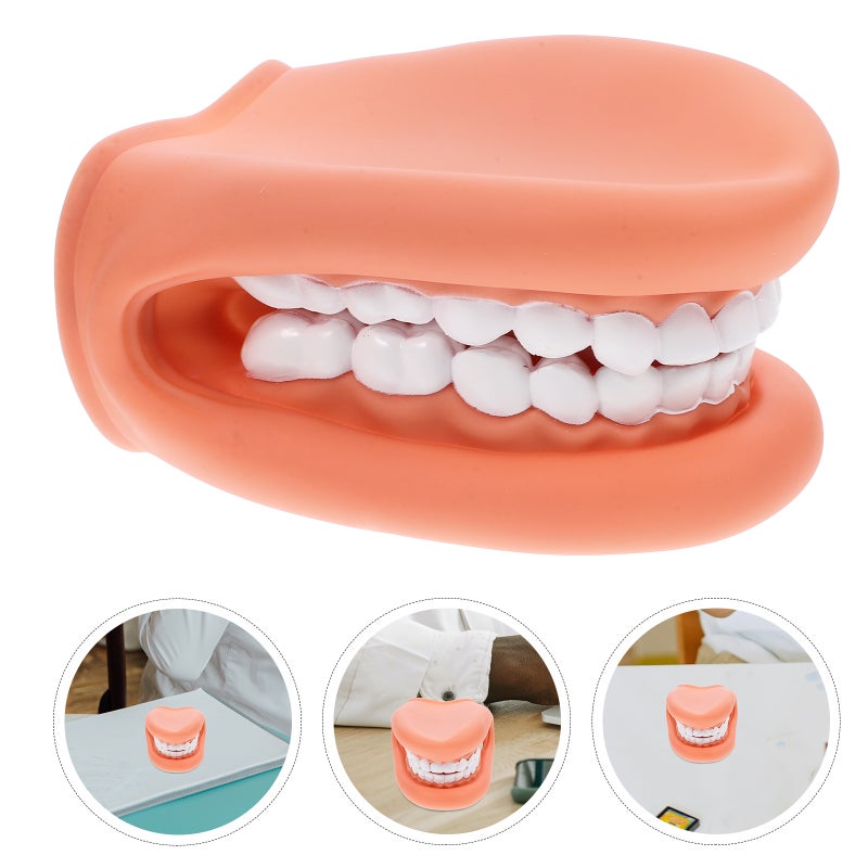 🧸 نموذج تعليمي لشرح ممارسات النظافة الفموية الصحيحة للطلاب - Image 4