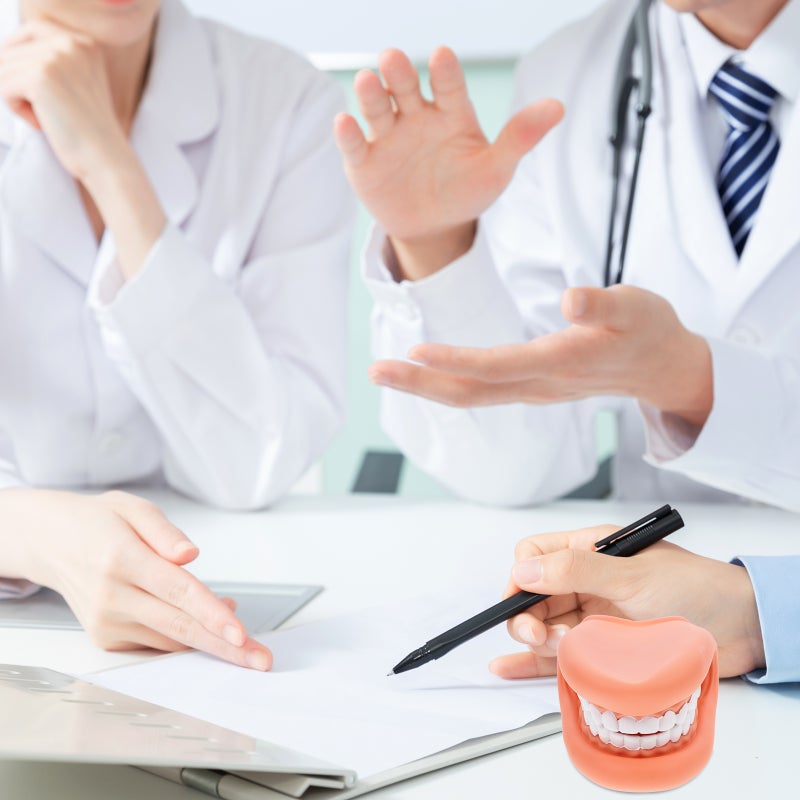 🧸 نموذج تعليمي لشرح ممارسات النظافة الفموية الصحيحة للطلاب - Image 2