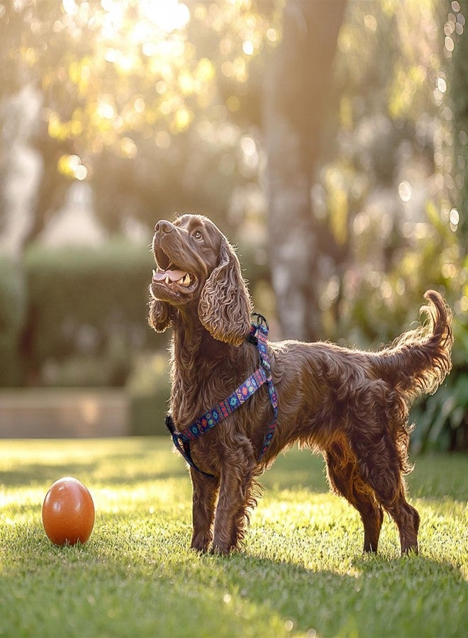 كيوكيو بيتس طقم حزام ومقود للكلاب من QQPETS، قابل للتعديل، شديد التحمل، يمنع الشد، مناسب للكلاب الصغيرة والمتوسطة والكبيرة، مزود بمشبك خلفي مضاد للالتواء، مثالي للمشي - Image 2