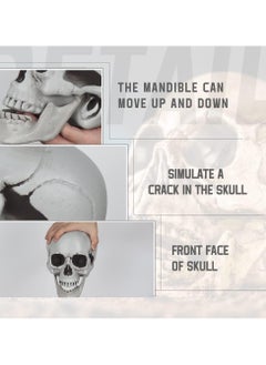 AUTOYSUR Festival Decoration Skull Skeleton Skull Head Realistic Looking Fake Skull Decor for Home Table Party Bar Decor Props Plastic (1pc)  - Image 2