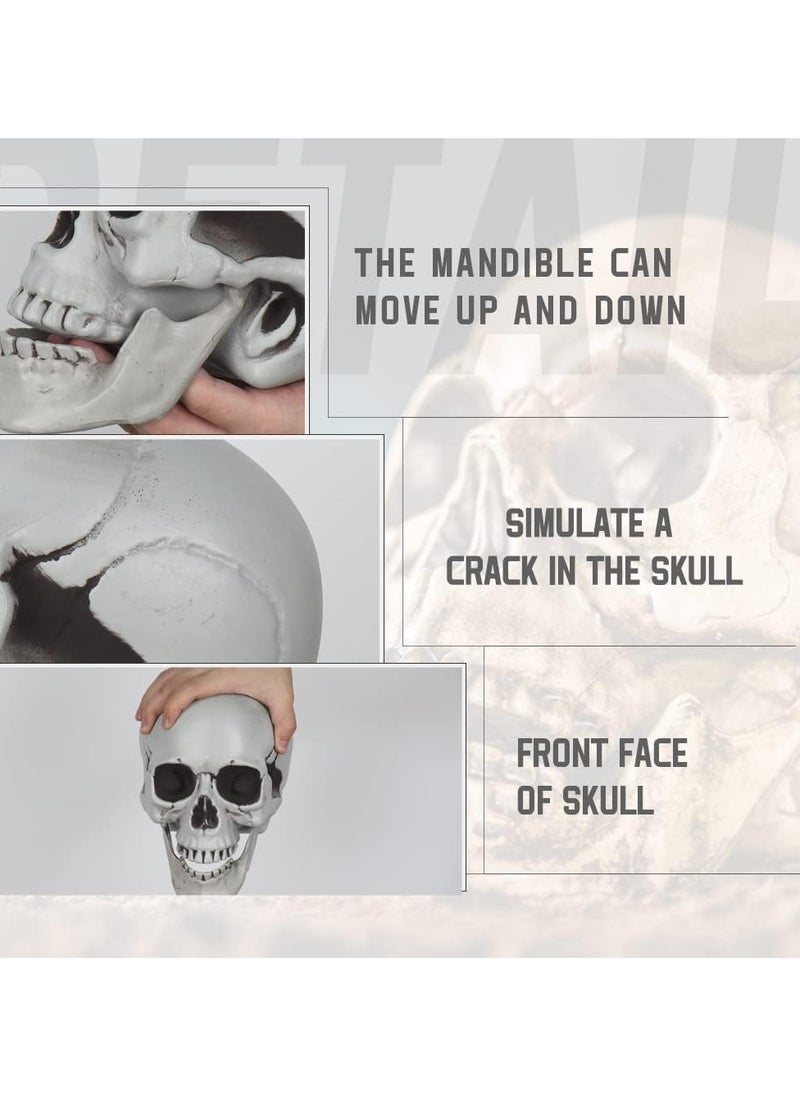 AUTOYSUR Festival Decoration Skull Skeleton Skull Head Realistic Looking Fake Skull Decor for Home Table Party Bar Decor Props Plastic (1pc)  - Image 2