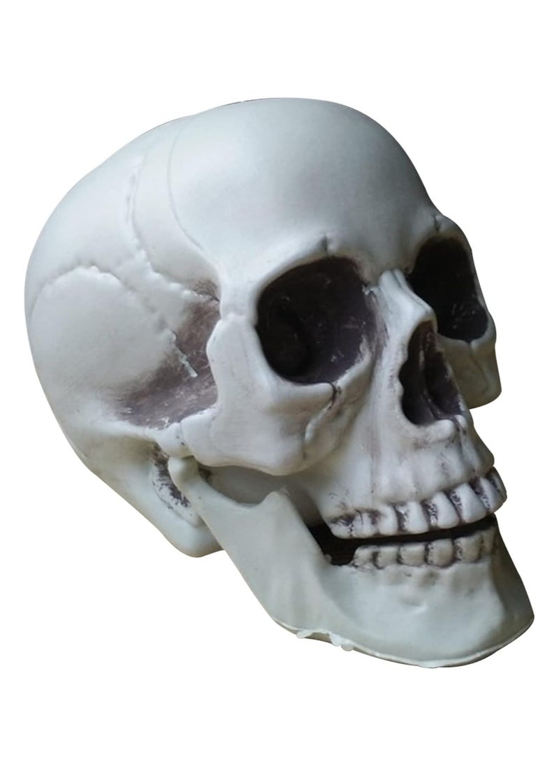 AUTOYSUR Festival Decoration Skull Skeleton Skull Head Realistic Looking Fake Skull Decor for Home Table Party Bar Decor Props Plastic (1pc)  - Image 1