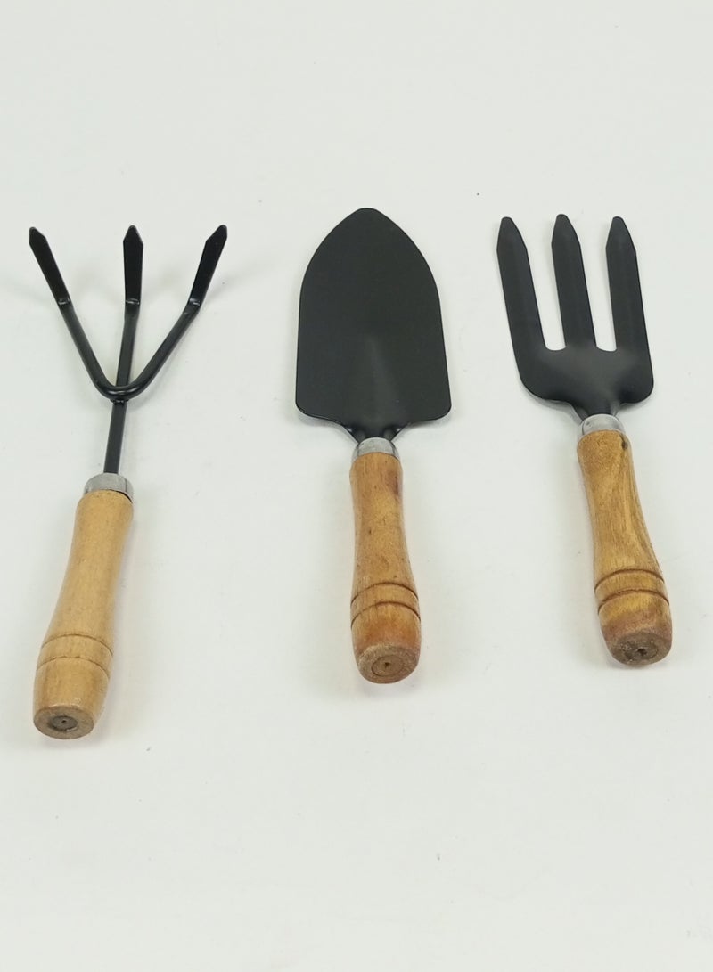 3-Piece Garden Planting Tool Set