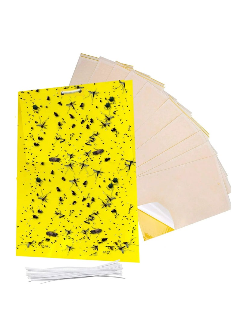 لافيش مصائد ورقية لاصقة صفراء ثنائية الجوانب | مقاس ١٦×٢٥ سم | عبوة من ٥ قطع | قاتل حشرات النباتات الطائرة | صائد حشرات البعوض | مصائد غراء غير سامة للحدائق والنباتات الداخلية - Image 1