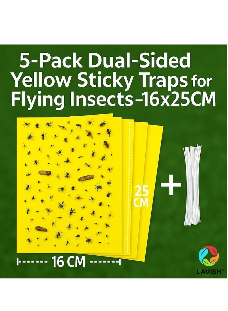 لافيش مصائد ورقية لاصقة صفراء ثنائية الجوانب | مقاس ١٦×٢٥ سم | عبوة من ٥ قطع | قاتل حشرات النباتات الطائرة | صائد حشرات البعوض | مصائد غراء غير سامة للحدائق والنباتات الداخلية - Image 5