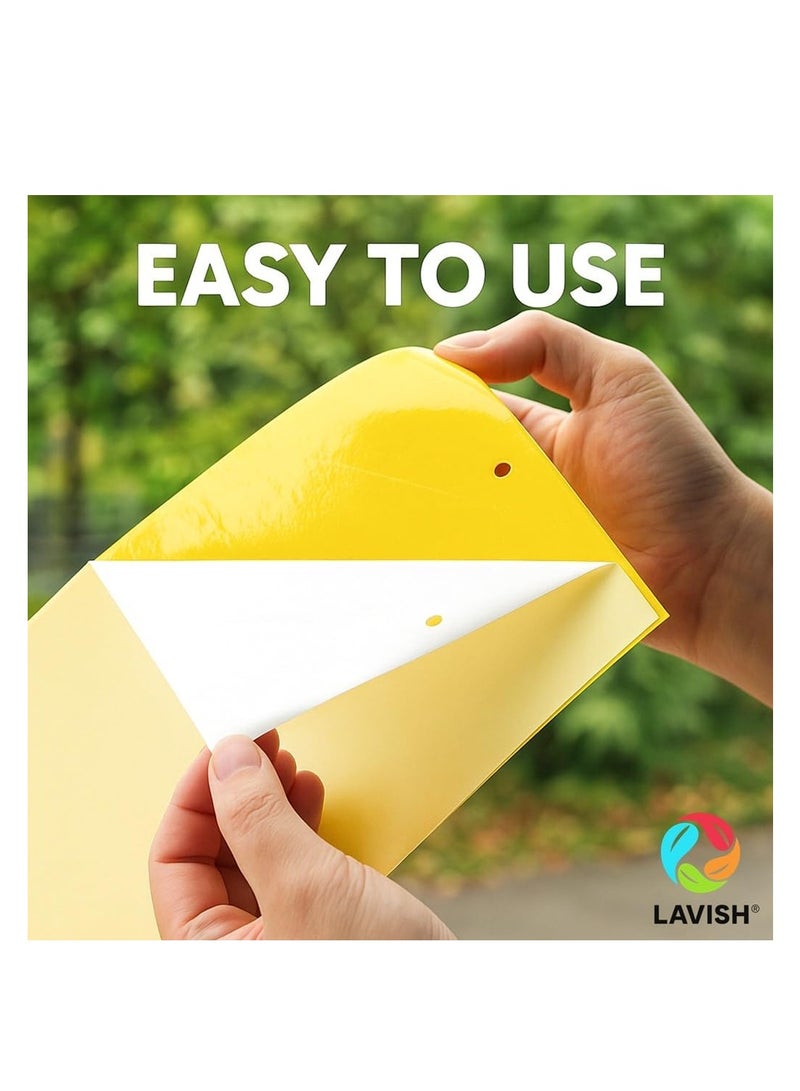 لافيش مصائد ورقية لاصقة صفراء ثنائية الجوانب | مقاس ١٦×٢٥ سم | عبوة من ٥ قطع | قاتل حشرات النباتات الطائرة | صائد حشرات البعوض | مصائد غراء غير سامة للحدائق والنباتات الداخلية - Image 3