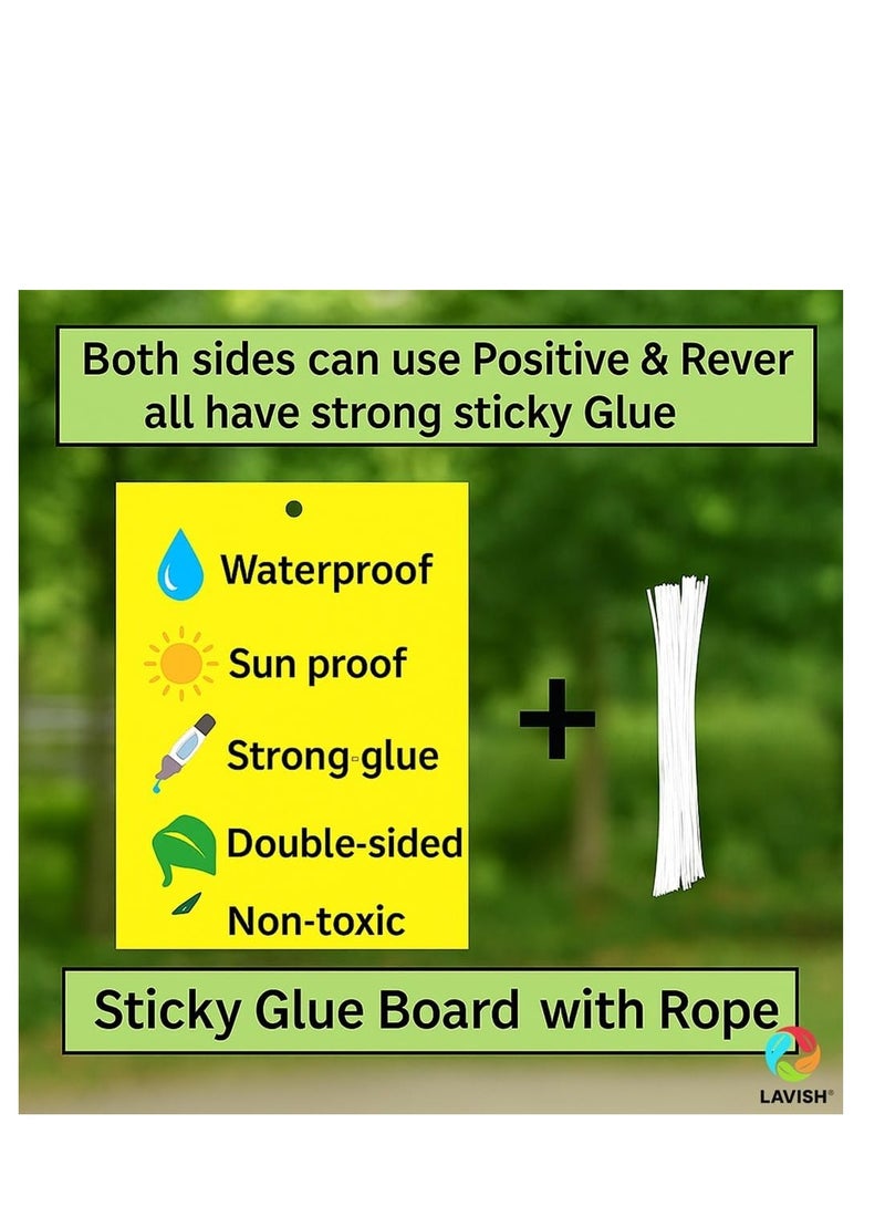 لافيش مصائد ورقية لاصقة صفراء ثنائية الجوانب | مقاس ١٦×٢٥ سم | عبوة من ٥ قطع | قاتل حشرات النباتات الطائرة | صائد حشرات البعوض | مصائد غراء غير سامة للحدائق والنباتات الداخلية - Image 4
