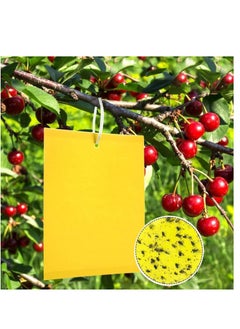 Lavish Fly Trap Sticker Board for Kitchen Farm Plant Garden 5 unit  - Image 1