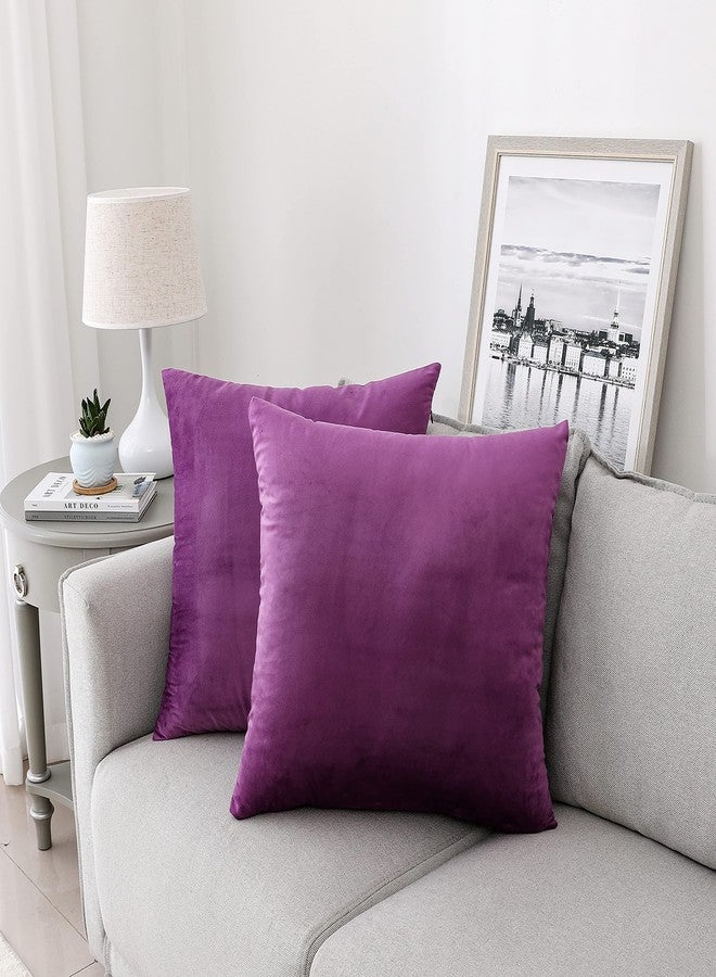NiNi ALL Decorative Throw Pillow Covers Pack of 2, Velvet Throw Pillow Cases for Couch Pillows Cover Bedroom Living Room Outdoor, Pillow Covers 18x18 Inch Purple - Image 1
