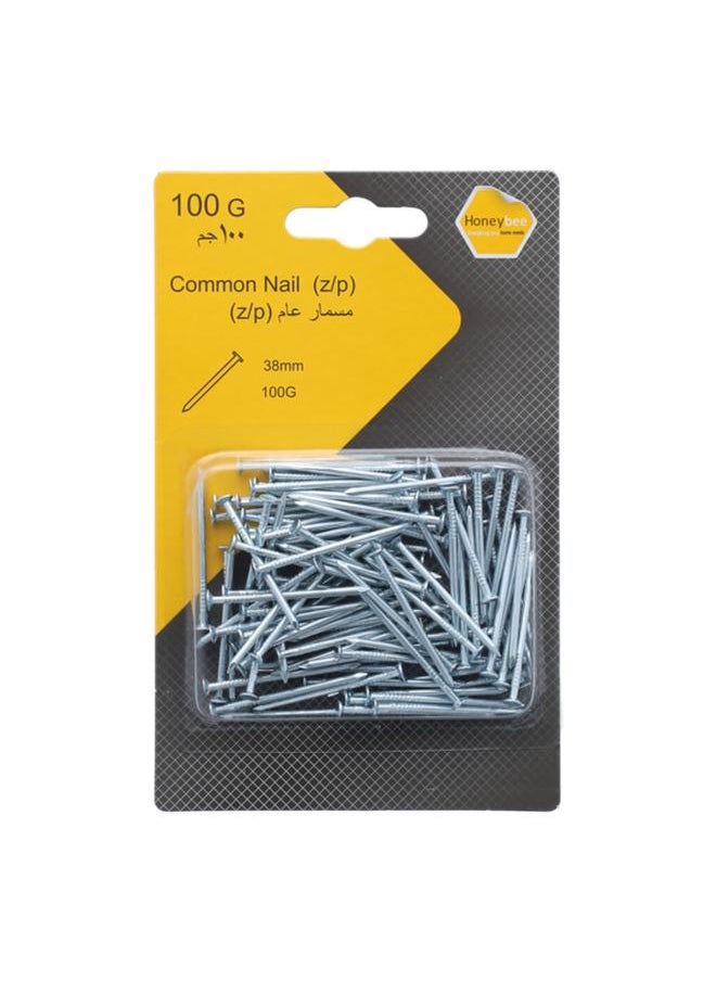 HONEY BEE Rust Resistant Zinc Plated Steel Common Nails Silver 38mm ZY15344 