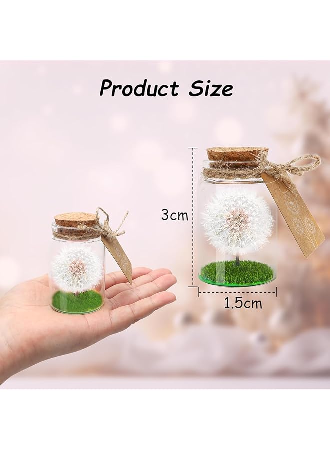 Real Dandelion In Glass Wish Filler Never Withered Flower Gift For Valentine'S Day Birthday Mother'S Day Anniversary Lucky Charm For Women Girlfriend Thoughtful Gift Idea