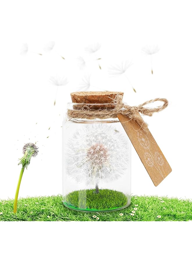 Real Dandelion In Glass Wish Filler Never Withered Flower Gift For Valentine'S Day Birthday Mother'S Day Anniversary Lucky Charm For Women Girlfriend Thoughtful Gift Idea