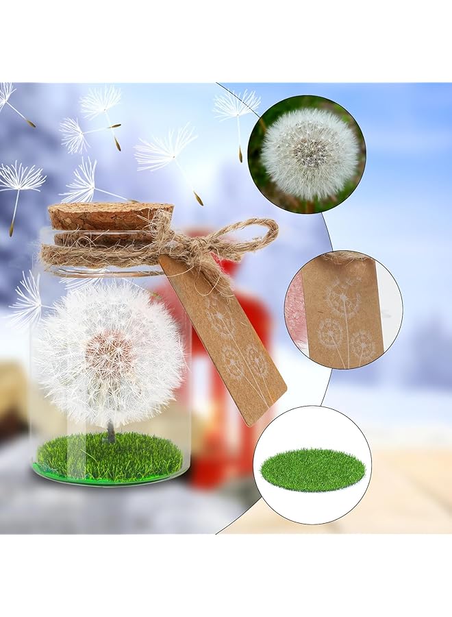 Real Dandelion In Glass Wish Filler Never Withered Flower Gift For Valentine'S Day Birthday Mother'S Day Anniversary Lucky Charm For Women Girlfriend Thoughtful Gift Idea