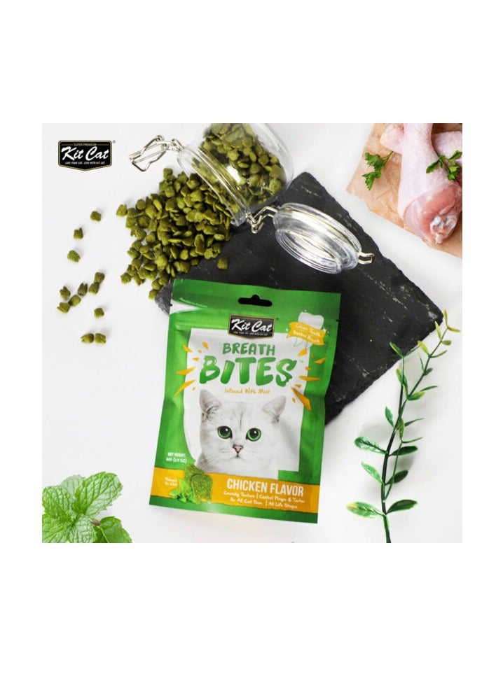 كيت كات قطعتان من بريث بايتس بنكهة الدجاج 2 × 60 جم - Image 2