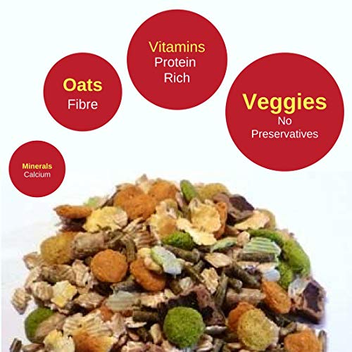 Vitapol Economic Food for Rabbits 1200 Gram High-Fiber Complete Diet with Meadow Hay Carrot Beetroot Apple and Flax Seed Supports Digestion and Dental Health - Image 2