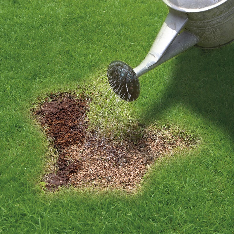 Miracle-Gro 119400 Patch Magic Grass Seed, Feed and Coir 1.5kg - 20 patches - Image 3