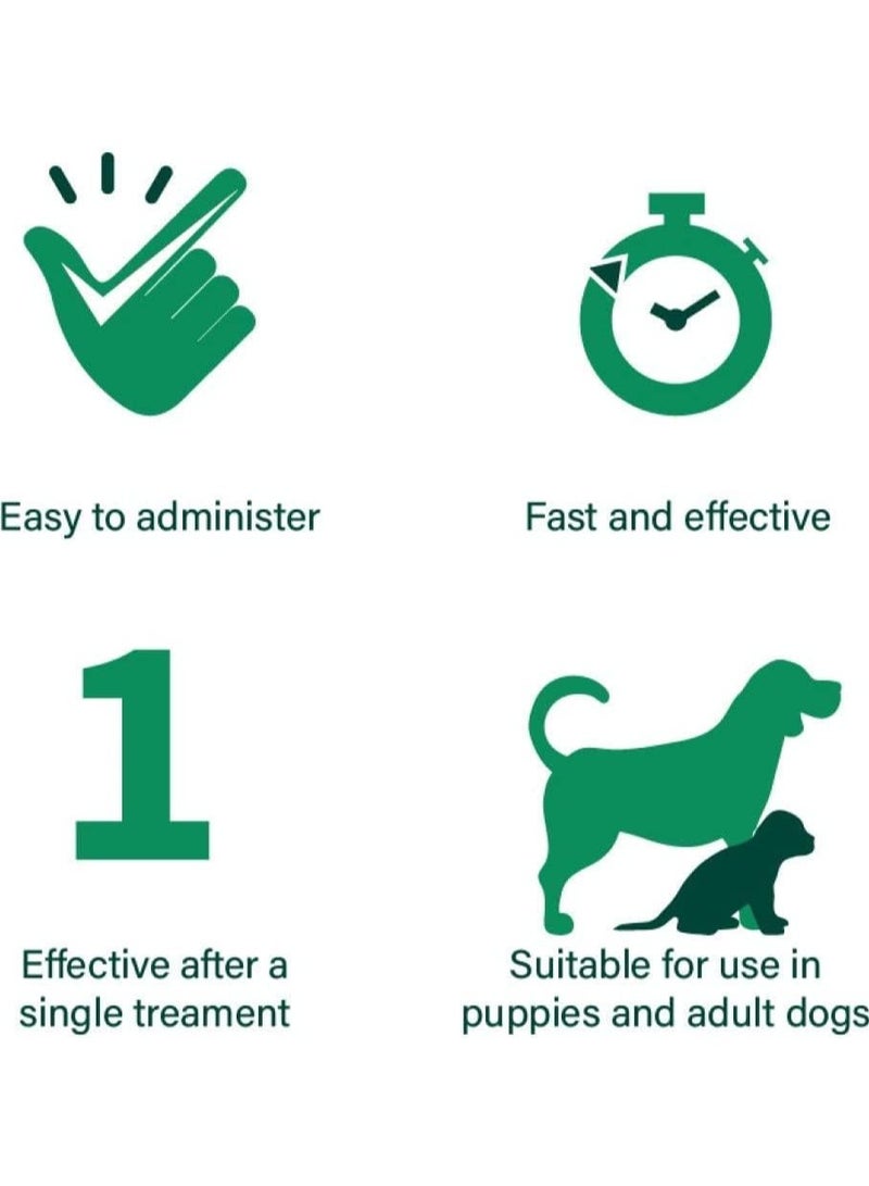 Defender Pro Deworming Tablet for Dogs of All Life Stages (Pack of 1) | Natural & Herbal Ingredients | - Image 4