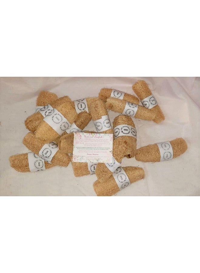 rdassociates ® natural bathing loofah scrub multipurpose scrub beige colour (Pack of 10) - Image 1