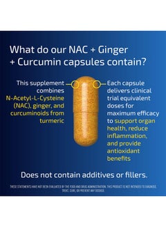 Health & Household Blueprint Bryan Johnson Nac Supplement - Promotes Stress Relief, Immune System Function, Respiratory Health - Includes N-Acetyl-L-Cysteine, Ginger, Curcuminoids - Detoxifying - Vegan (30 Servings)  - Image 2