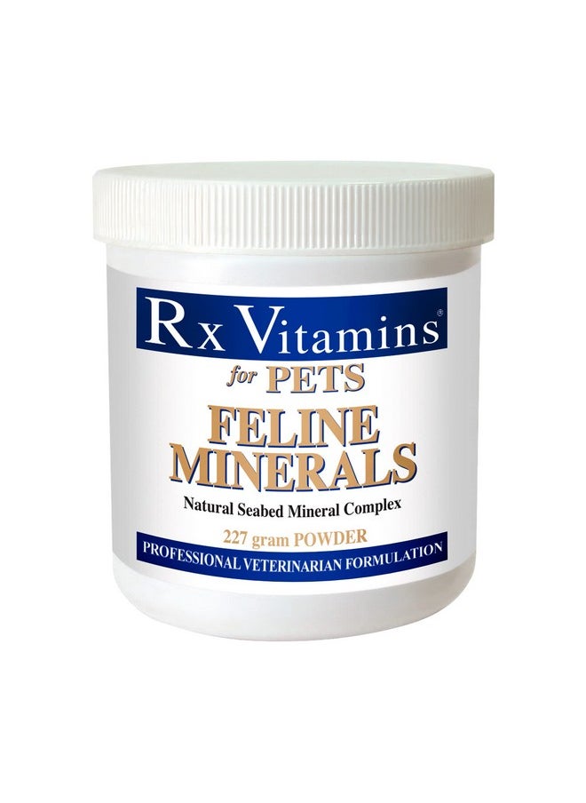 Rx Vitamins Rx Vitamins Feline Minerals - Mineral Powder with Calcium, Magnesium, Potassium, & Taurine for Cats - Cat Dental Care Plus Immune Support - 8 oz  - Image 1
