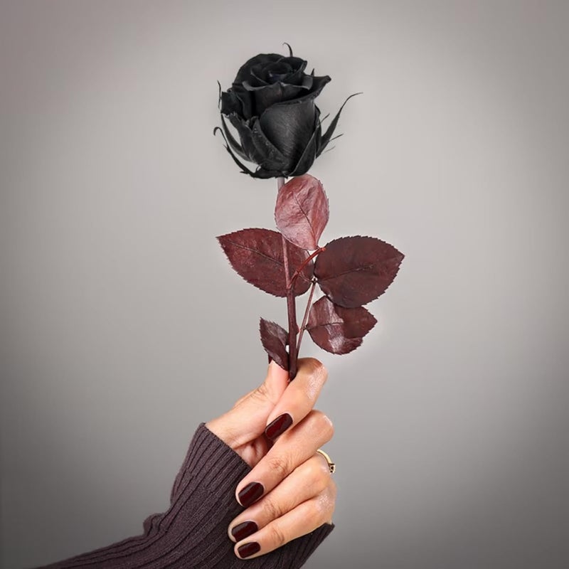 Floweraura FlowerAura Love Special Romantic Forever Real Preserved Black Rose Flower For Birthday Gift Anniversary Gift Valentines Day Rose Day Gift For Boyfriend Girlfriend Wife Husband  - Image 1
