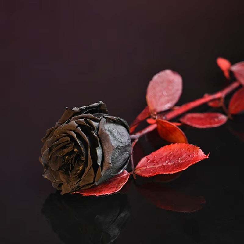 Floweraura FlowerAura Love Special Romantic Forever Real Preserved Black Rose Flower For Birthday Gift Anniversary Gift Valentines Day Rose Day Gift For Boyfriend Girlfriend Wife Husband  - Image 4