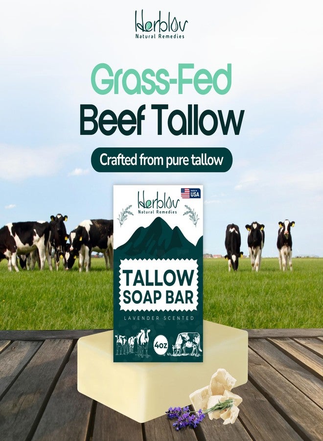 Herblov Beef Tallow Soap Bar – All Natural Grass Fed Tallow Soap Lavender – Moisturizing Face & Body Wash Great for Eczema, Dry, Itchy, Sensitive Skin – Handcrafted Bath Soap for Adults, Kids, Made in USA - Image 2