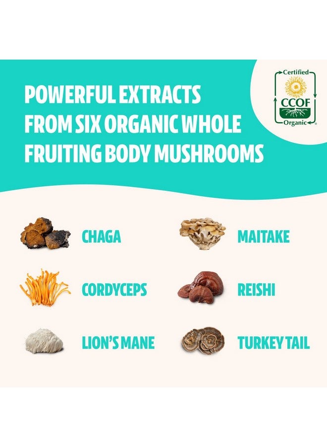 FreshCap Mushrooms Freshcap Ultimate Mushroom Complex Capsule Lion Mane Reishi Cordyceps Chaga Turkey Tail Maitake Supplement Real Fruiting Body No Fillers - Image 5