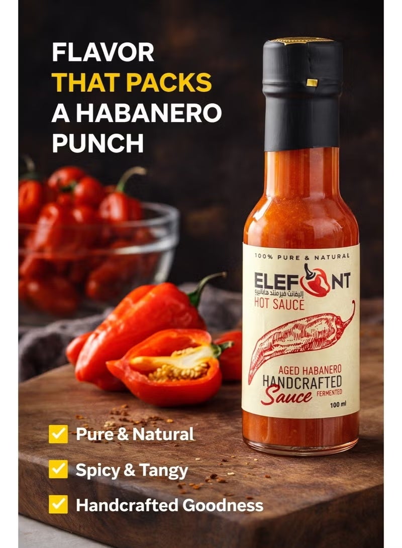 Elefant Fermented Habanero Hot Sauce 100ml, Pack of 1, High Heat Tangy Flavor No Preservatives Made in UAE - Image 2
