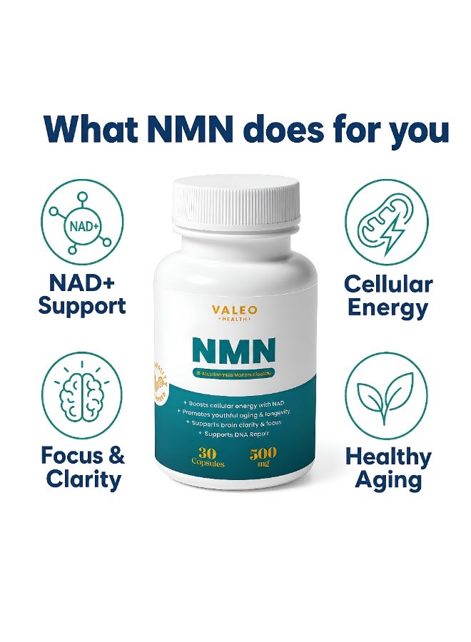VALEO NMN 500mg Capsules: Pure Nicotinamide Mononucleotide NAD+ Booster for Anti-Ageing, Cellular Energy, Focus & Longevity Support. High-Purity Single Ingredient, Made in the UK – 30 Capsules (30-Day Supply) - Image 5