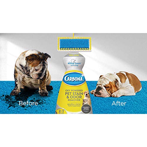 Carbona Oxy-Powered Pet Stain & Odor Remover w/ Active Foam Technology | 22 Fl Oz, 2 Pack - Image 2