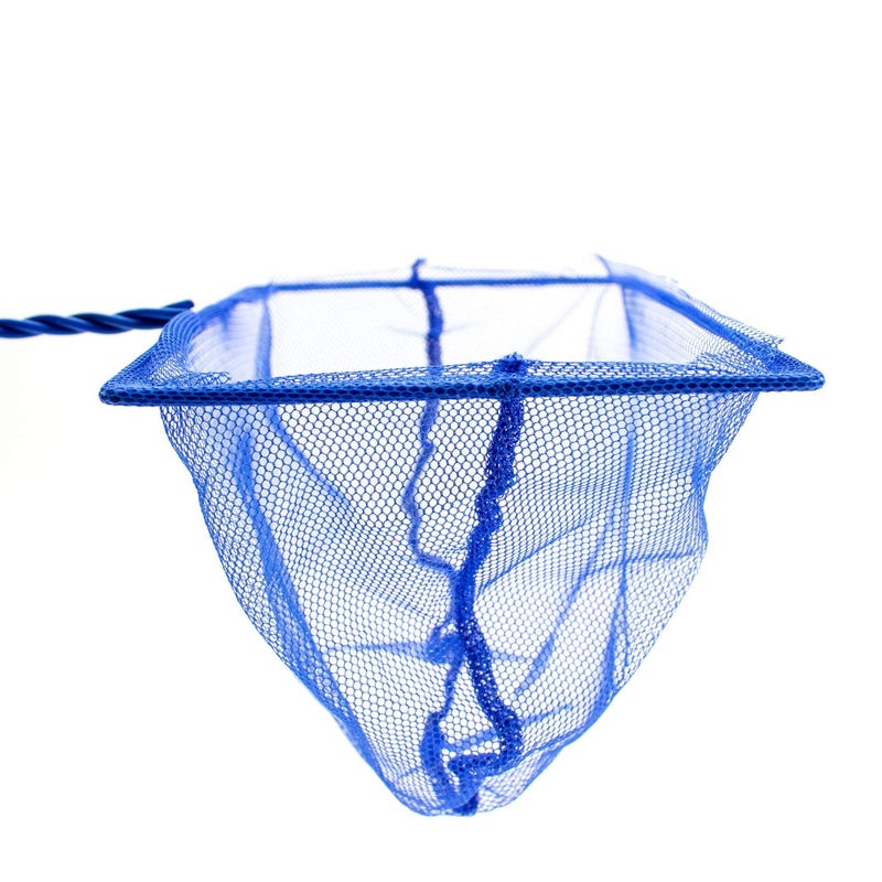 Penn Plax PENN-PLAX (QN4) Quick-Net Aquarium Fish Net â€“ Durable, Strong, and Safe â€“ Color May Vary (Blue, Red, or Green) â€“ 4â€ x 3â€ Net â€“ 10â€ Handle - Image 4