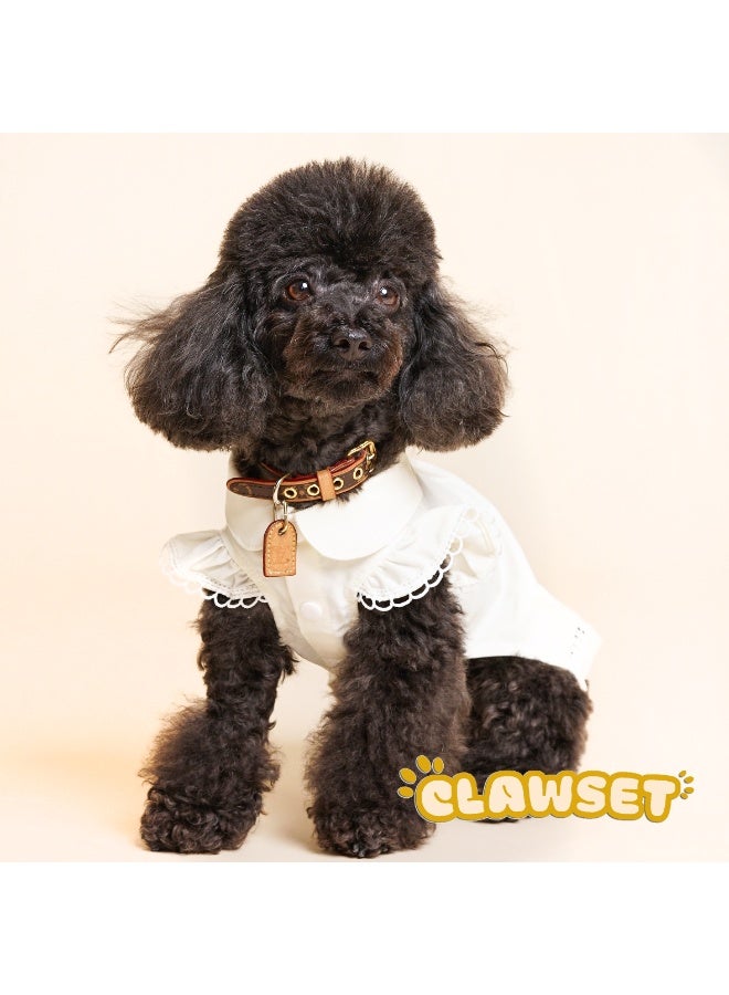 CLAWSET MAIZIE BEIGE TOP - PET CLOTHES - BEIGE CLOTHES FOR PETS - PET APPAREL - DOG CLOTHES - PET FASHION - Image 1