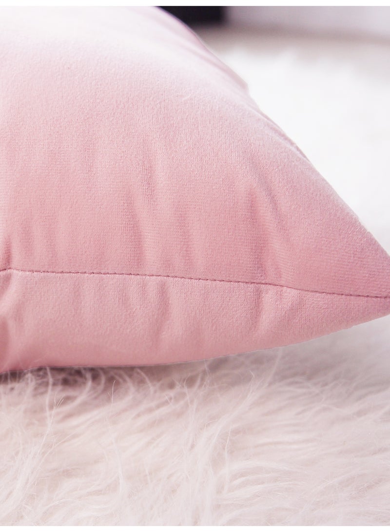 رمي غطاء الوسادة الوردي مجموعة من 2 45x45cm الخريف غطاء الوسادة، ناعمة المخملية المزرعة محايدة غطاء الوسادة الزخرفية للأريكة أريكة السرير، ديكور البوهو المنزلي، غطاء الوسادة الحديثة - Image 5