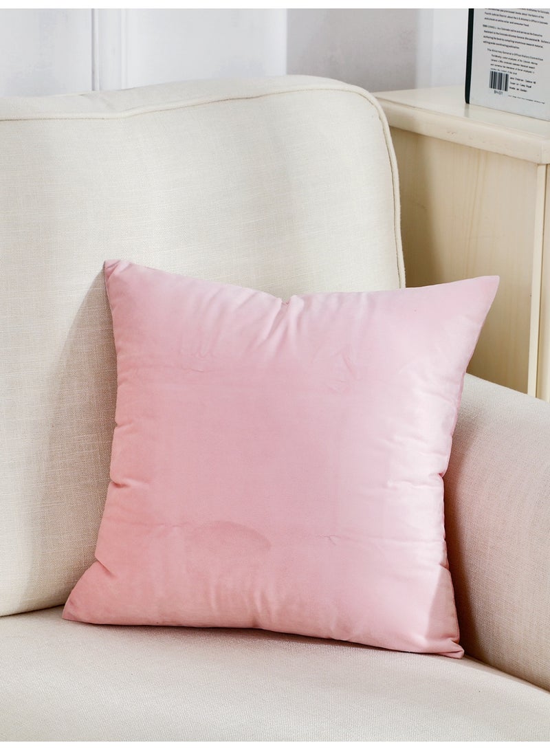 رمي غطاء الوسادة الوردي مجموعة من 2 45x45cm الخريف غطاء الوسادة، ناعمة المخملية المزرعة محايدة غطاء الوسادة الزخرفية للأريكة أريكة السرير، ديكور البوهو المنزلي، غطاء الوسادة الحديثة - Image 2
