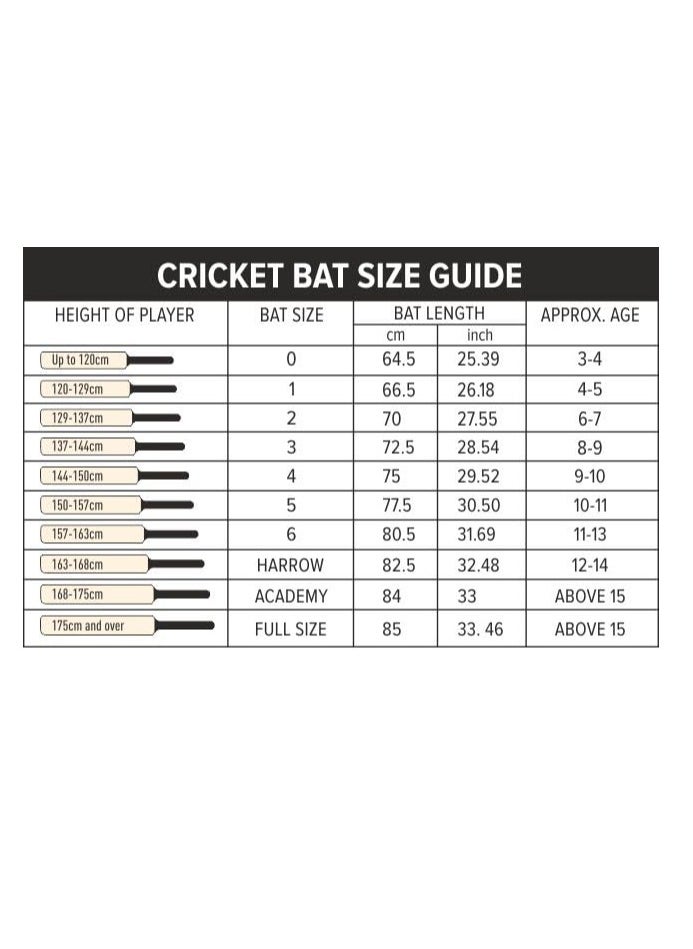DSC - Roar Blast Cricket Bat | Material: Kashmir Willow | For All Round | Weight: 750 - 800gm | Cross Weave Tape on Edges | For Leather Ball | High Sweet Spot - Image 1