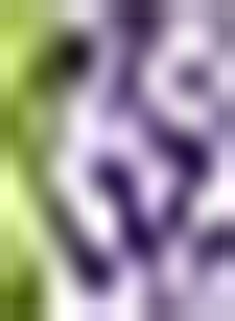 GGOOT 10pcs Paarse gladiolenbollen Zeldzame variëteit Buiten geplant Nodig vrienden en Familie uit om te genieten Van de vreugde Van de oogpcs Bloemen Lichte geur - Image 1